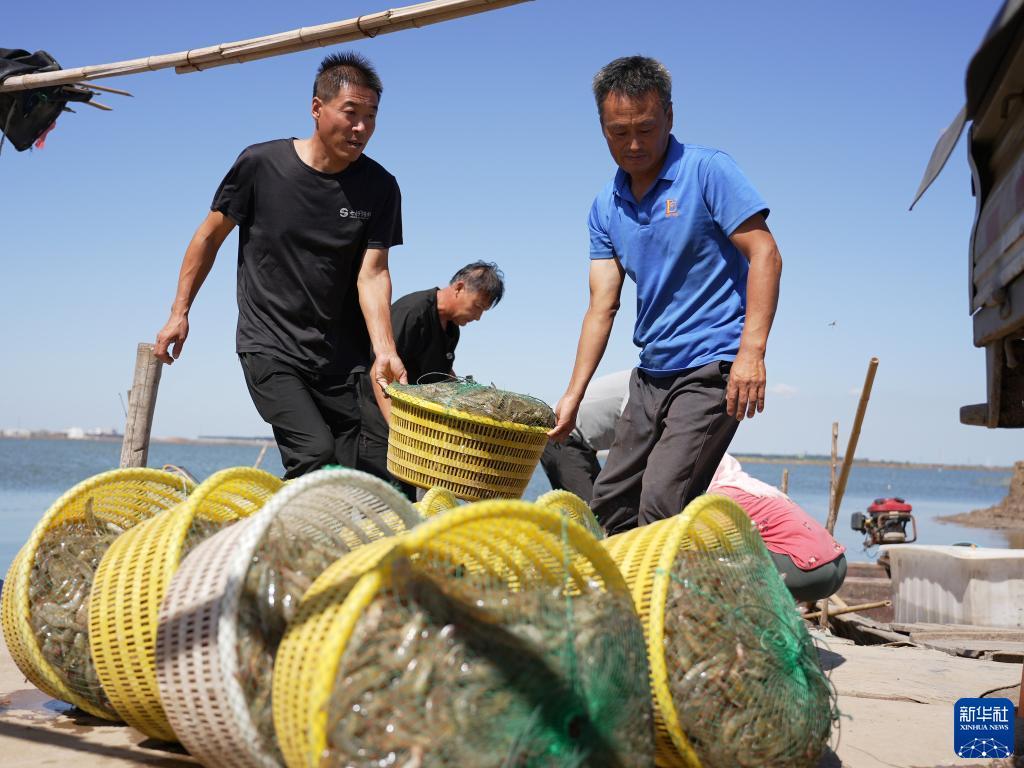 搜狗浏览器