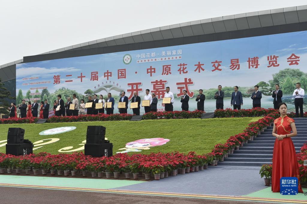 微星棋牌官网